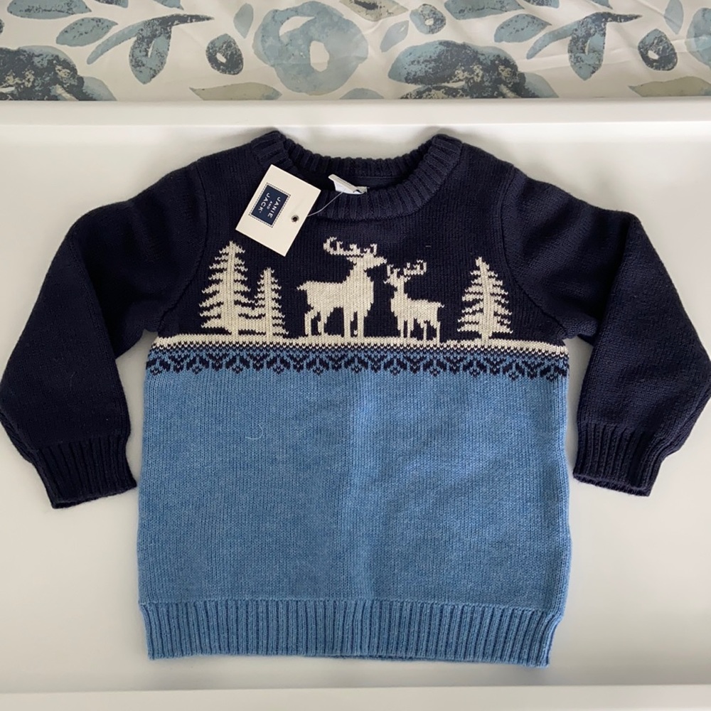 Janie and Jack Sweater
